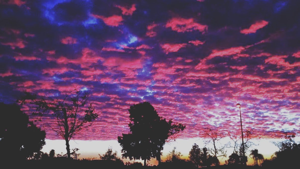 headerpic
